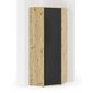 Predsieňová rohová skriňa Emi 2 - dub artisan / čierna